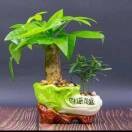 平安人生sVl的头像