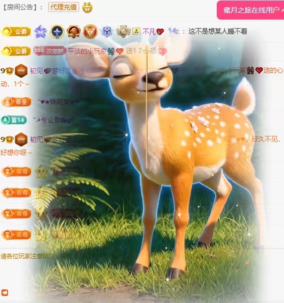 粤S💕初见梦主播图片