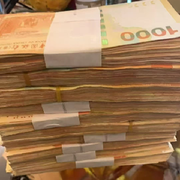 ╃偷鱼罐头的猫メ的头像