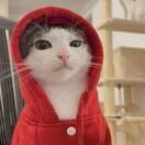 睡大觉Eia的头像