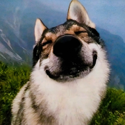 萌新小土豆又又中奖了的头像