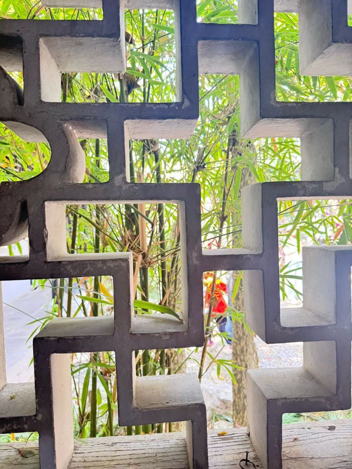 日【🔴】初的主播照片