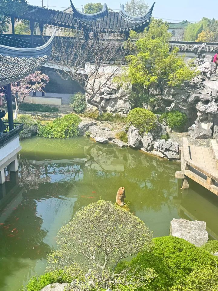 日【🔴】初的主播照片