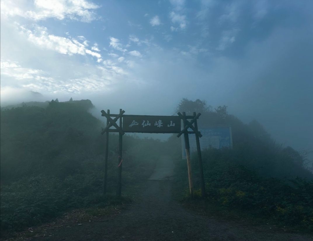 礼物一停！感情归零！的主播照片
