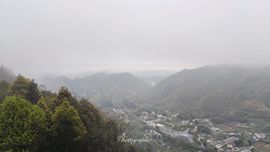 解封633335退播的图片