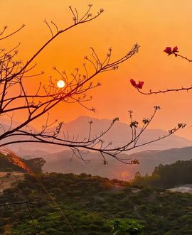 阿涛骑行分享风景！的图片
