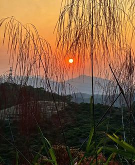 阿涛骑行分享风景！的图片