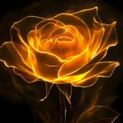 ℳ下海擒龙的头像