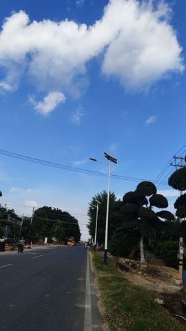 小黑，阳光房：金钢网的图片