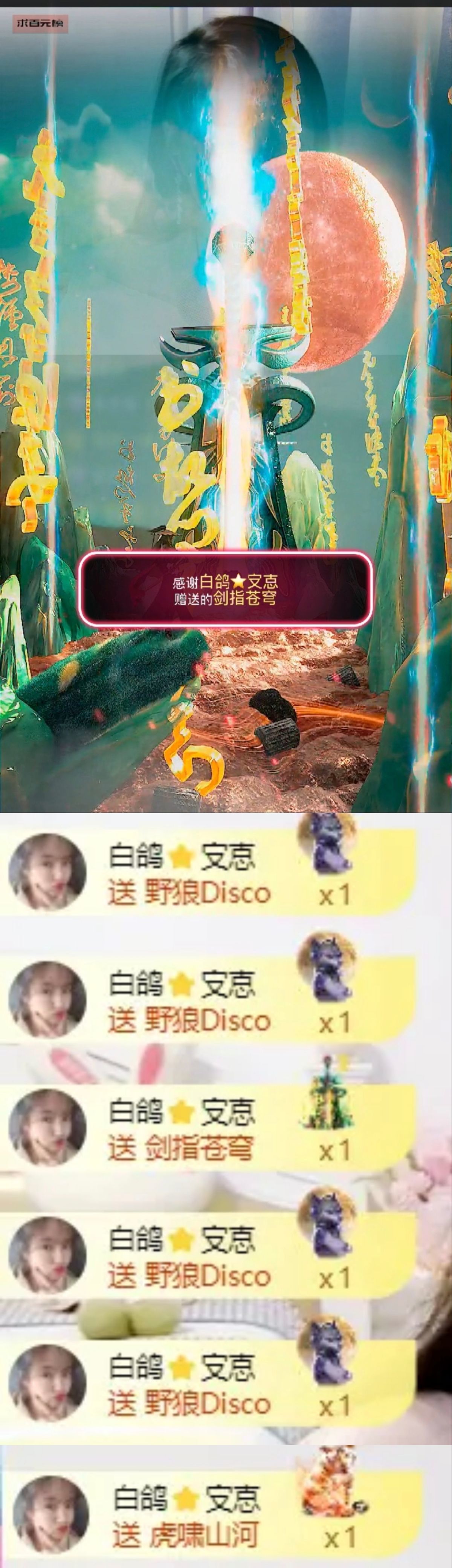 海鸽晚上播的图片