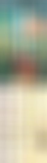 海鸽晚上播主播照片