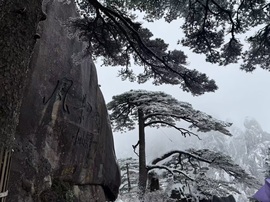 肉肉小娘子感冒休一天主播照片