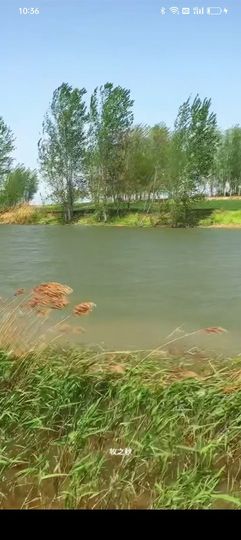 傲世_天下主播照片