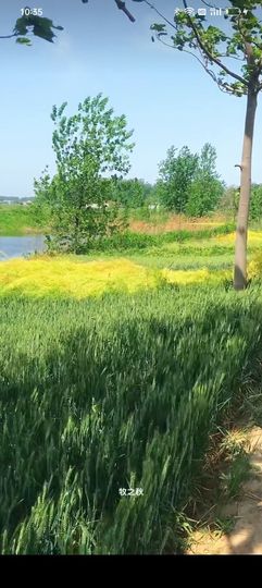 傲世_天下主播照片