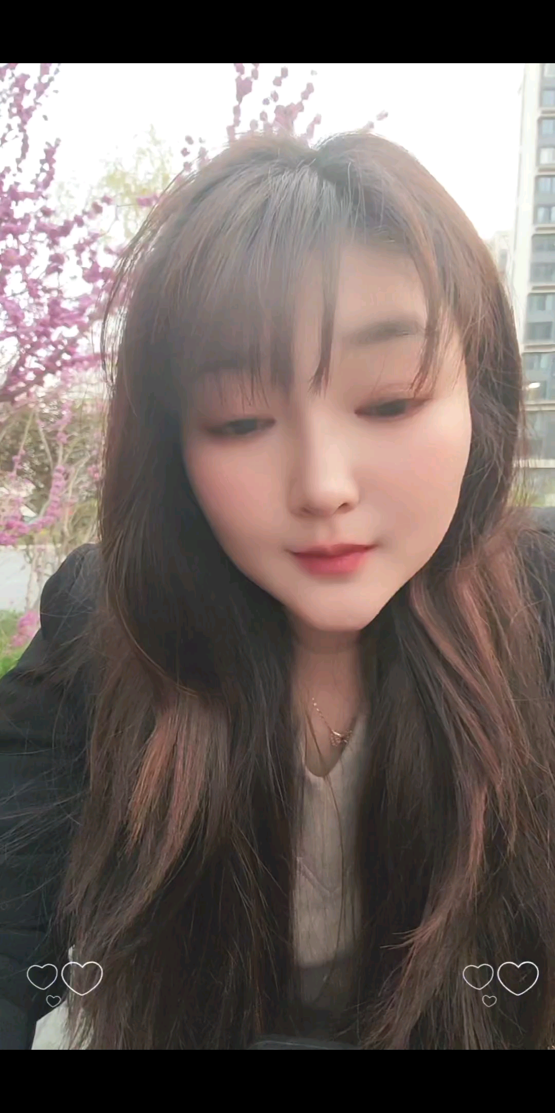 请允许我尘埃落地