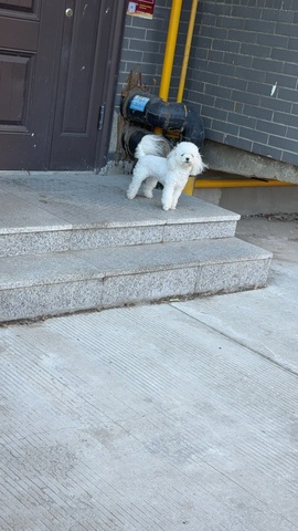 婷儿@所遇皆甜的图片