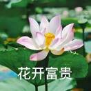 老姜同志aEj的頭像