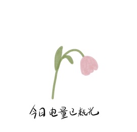 湘湘晚上九点播主播照片