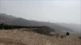 静宝🎤伤感情歌的图片