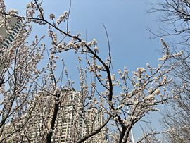 洗洗睡吧，亲。的图片