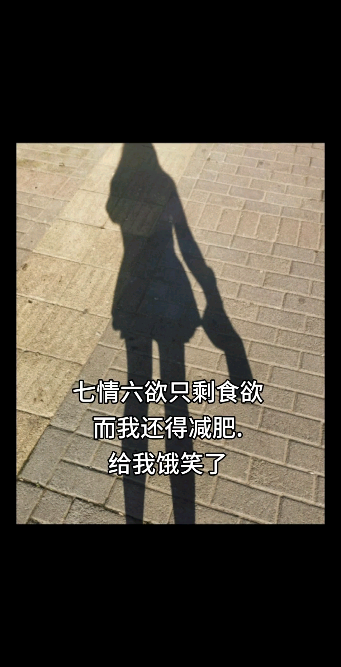 点点关注好处多🤗燕子