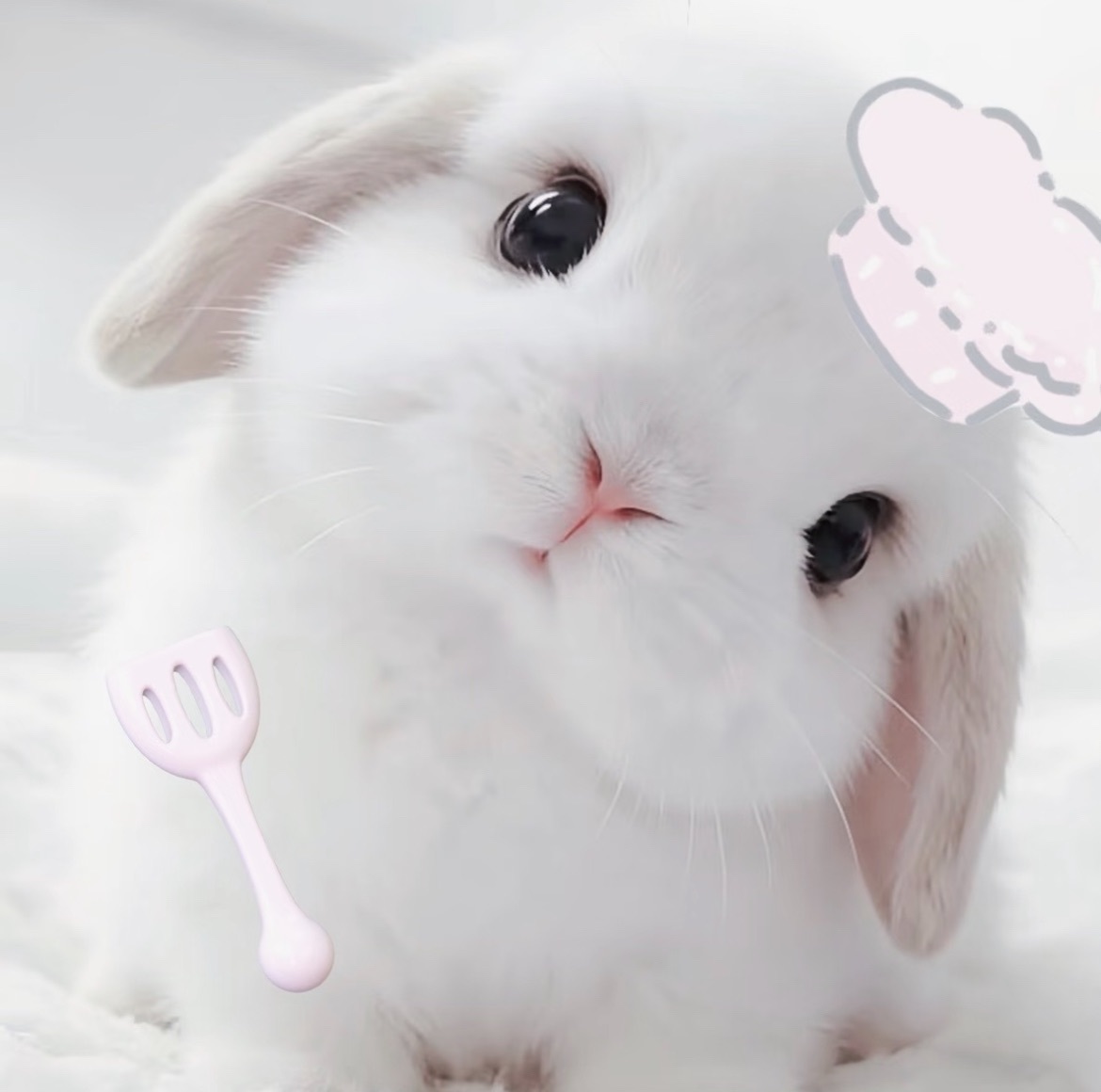 潔兒寶寶～的主播照片