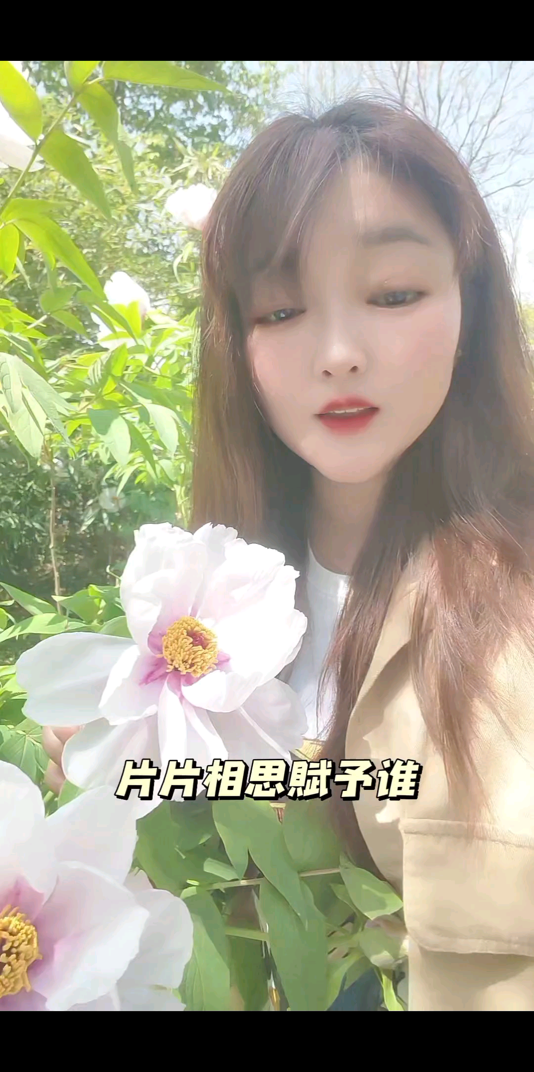 片片相思赋予谁