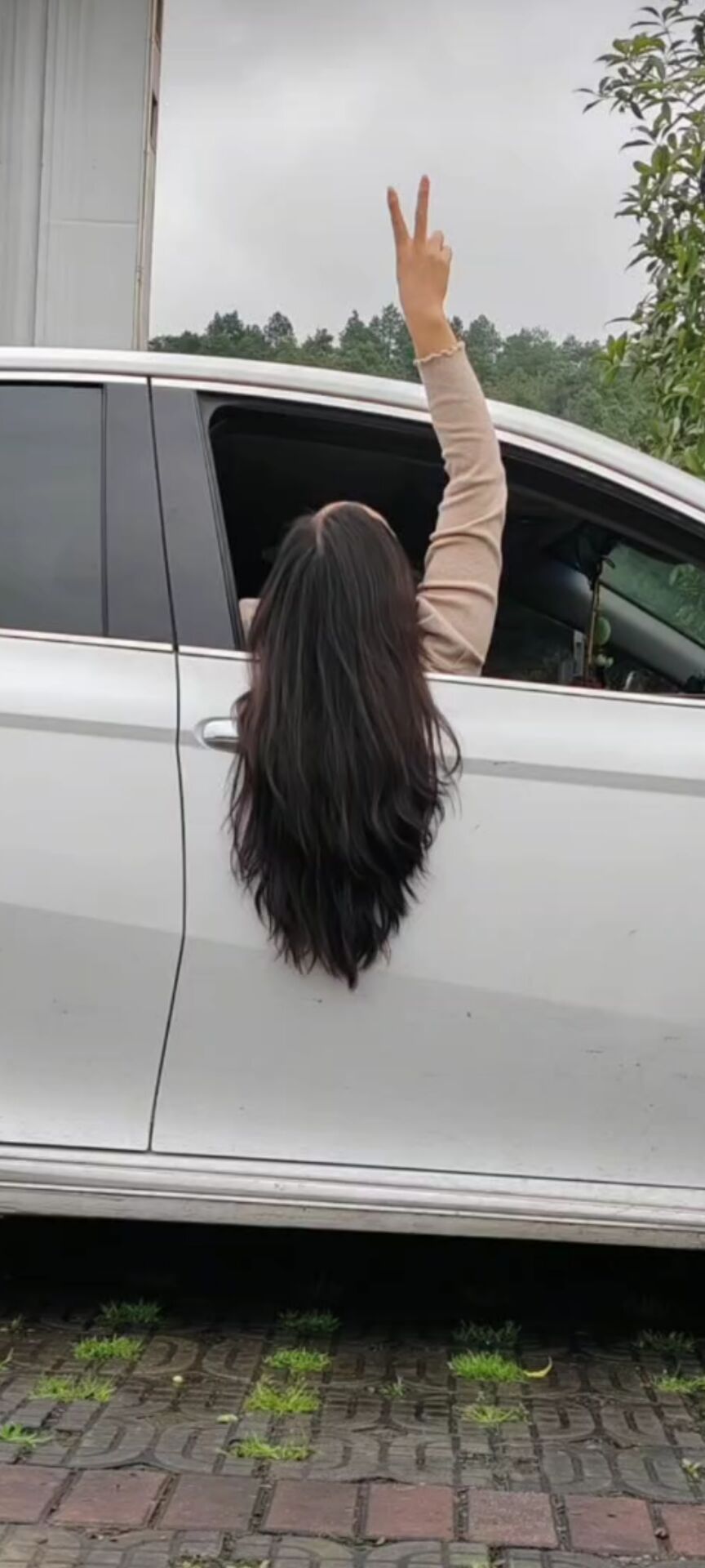 朽木自雕、独饮独醉的主播照片