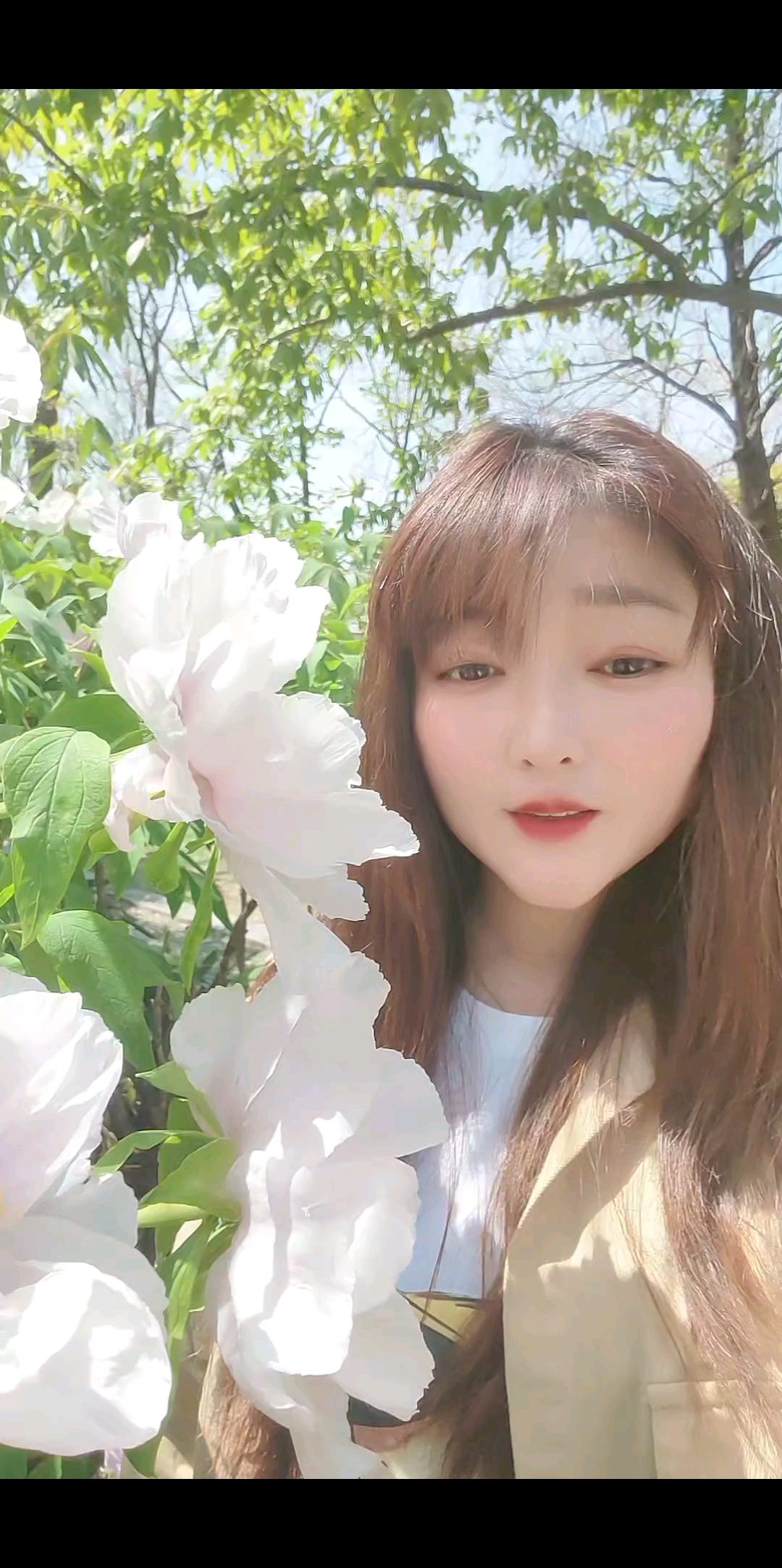 也许一切太完美，感觉