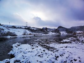 天王盖地虎虎044的图片