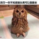 心灵无底洞
