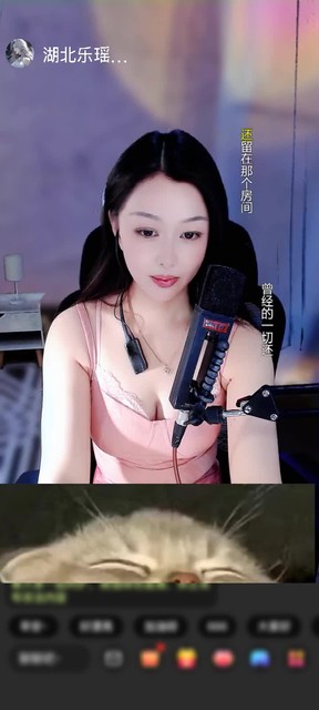 感谢拉链拉到底赠送神豪火山1个