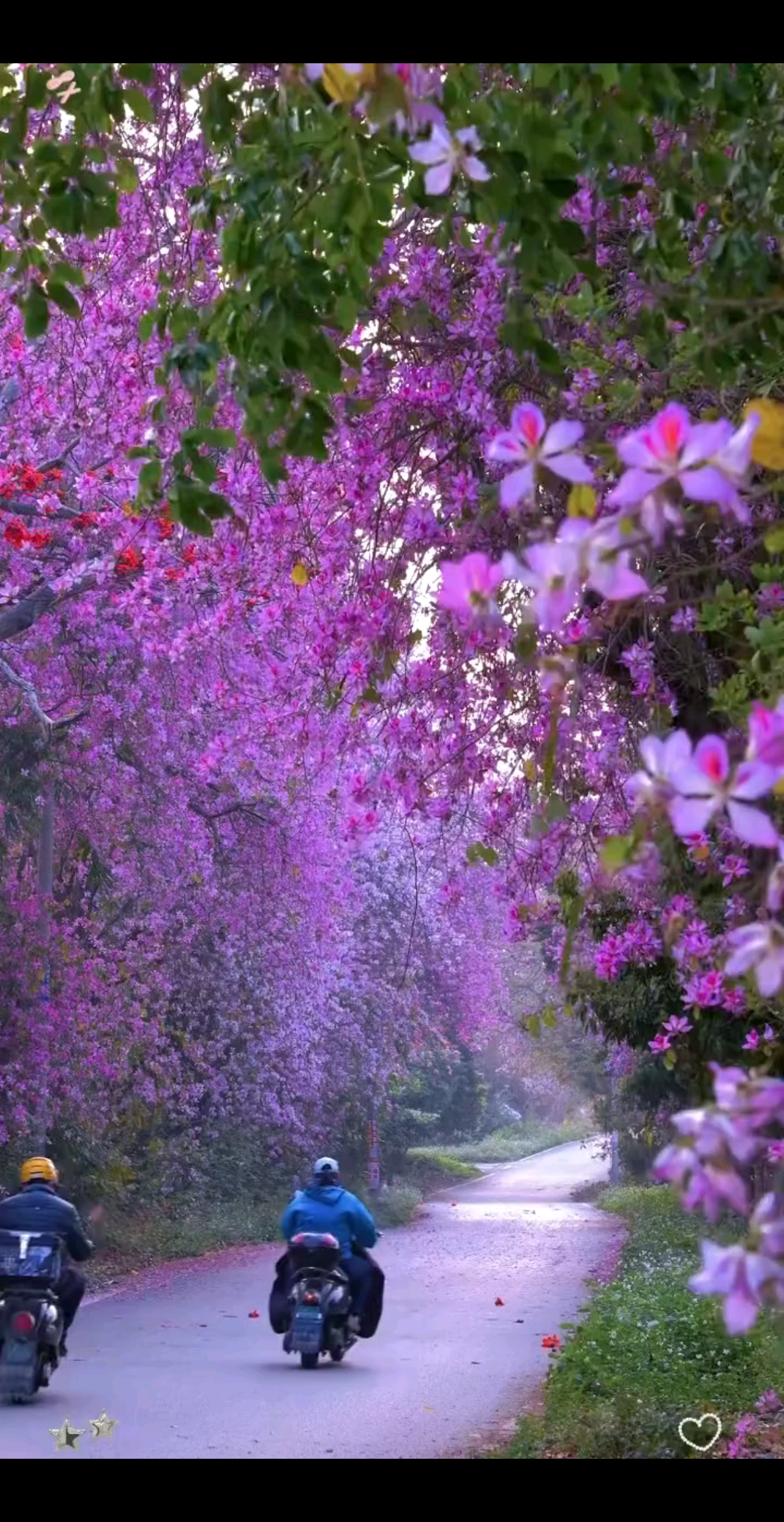 ❤️新的一天，❤️新