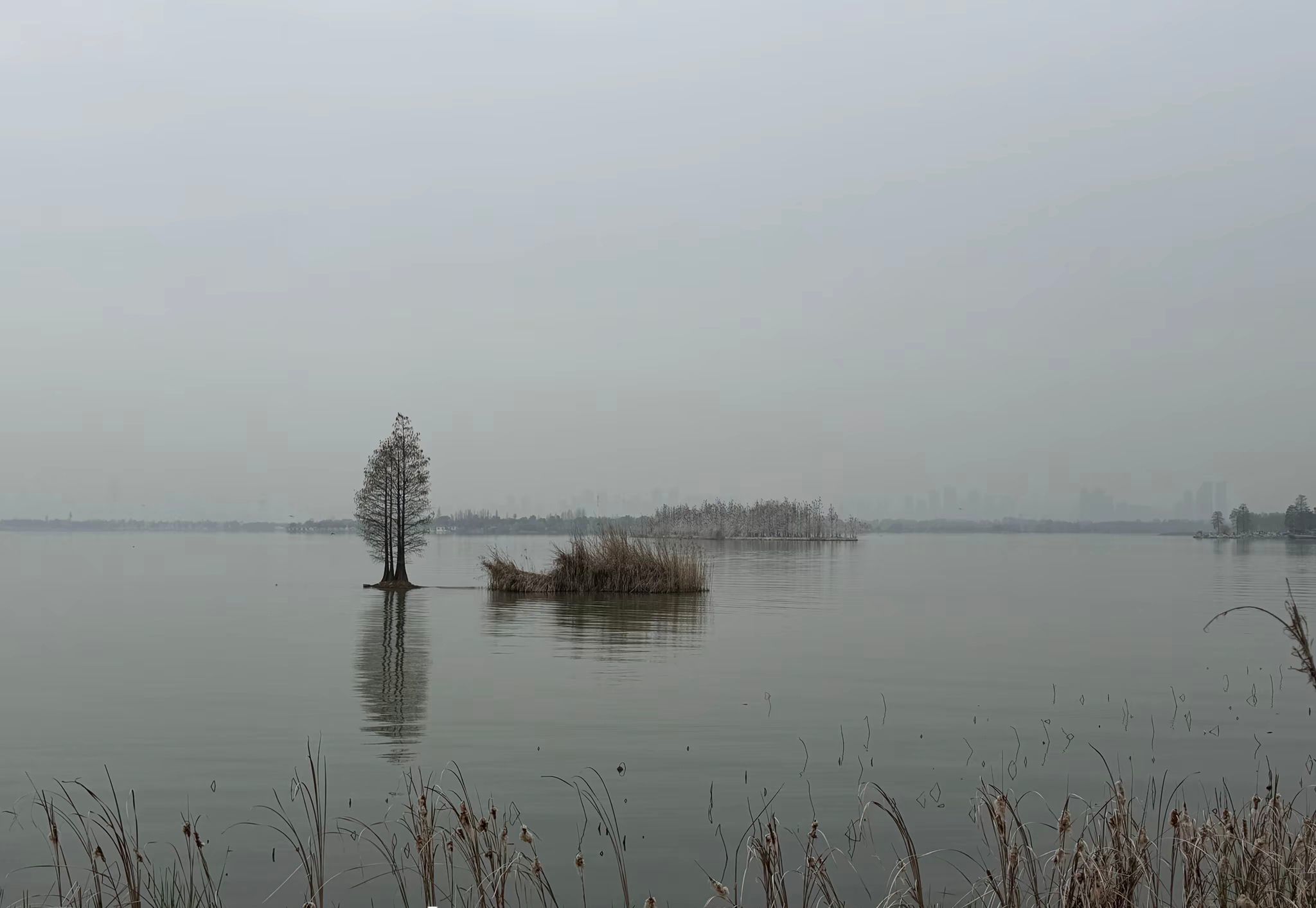 七格格👑军训队长的主播照片