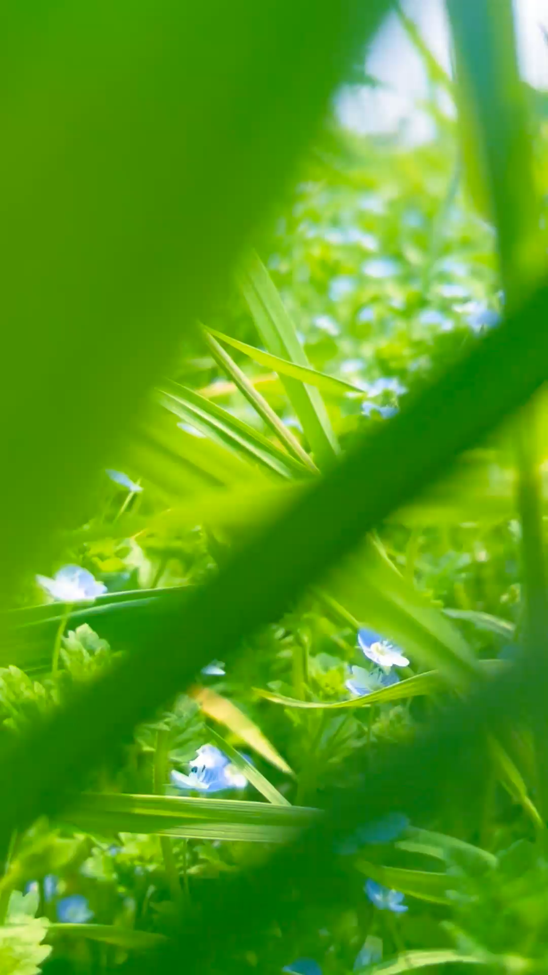 我发誓从今天开始减肥