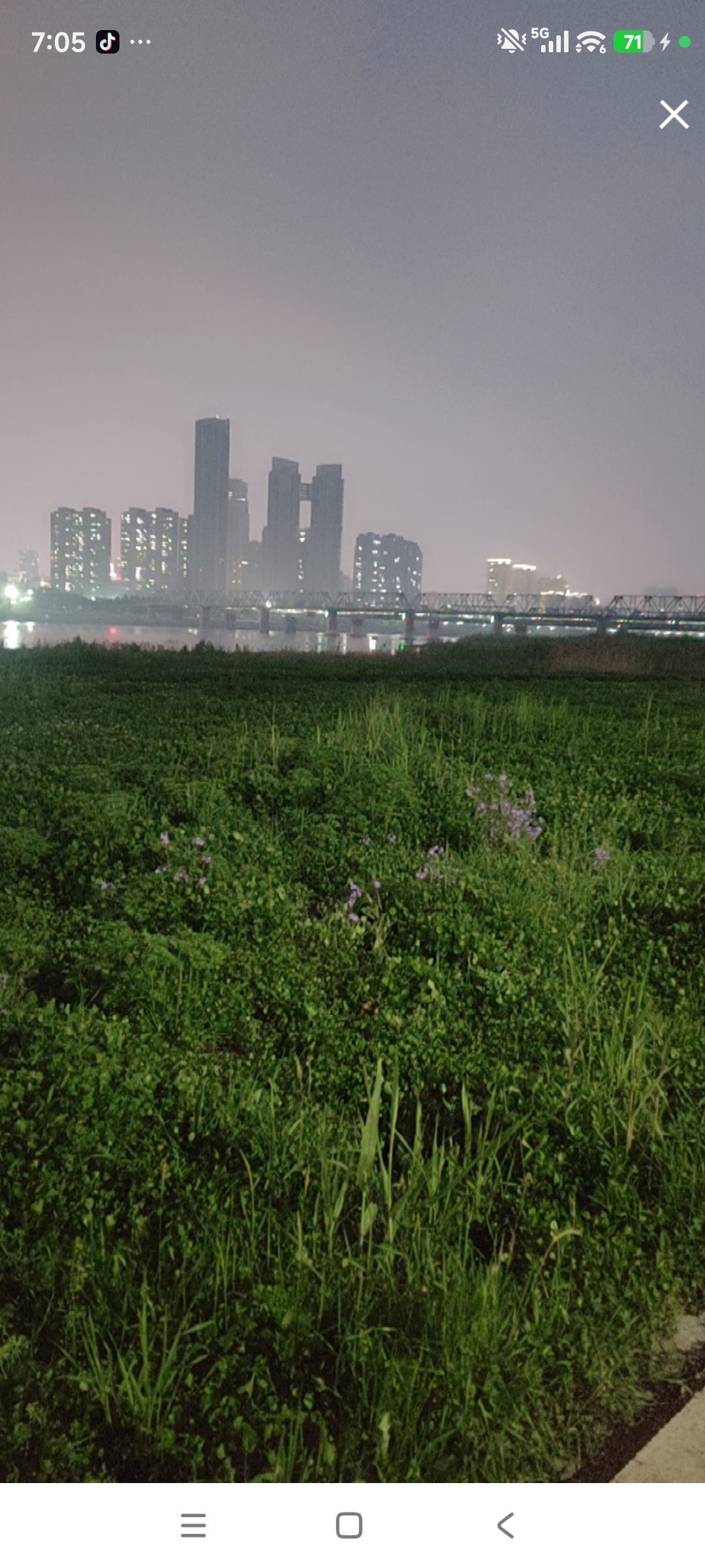 婷求十九架飞机过任务主播图片
