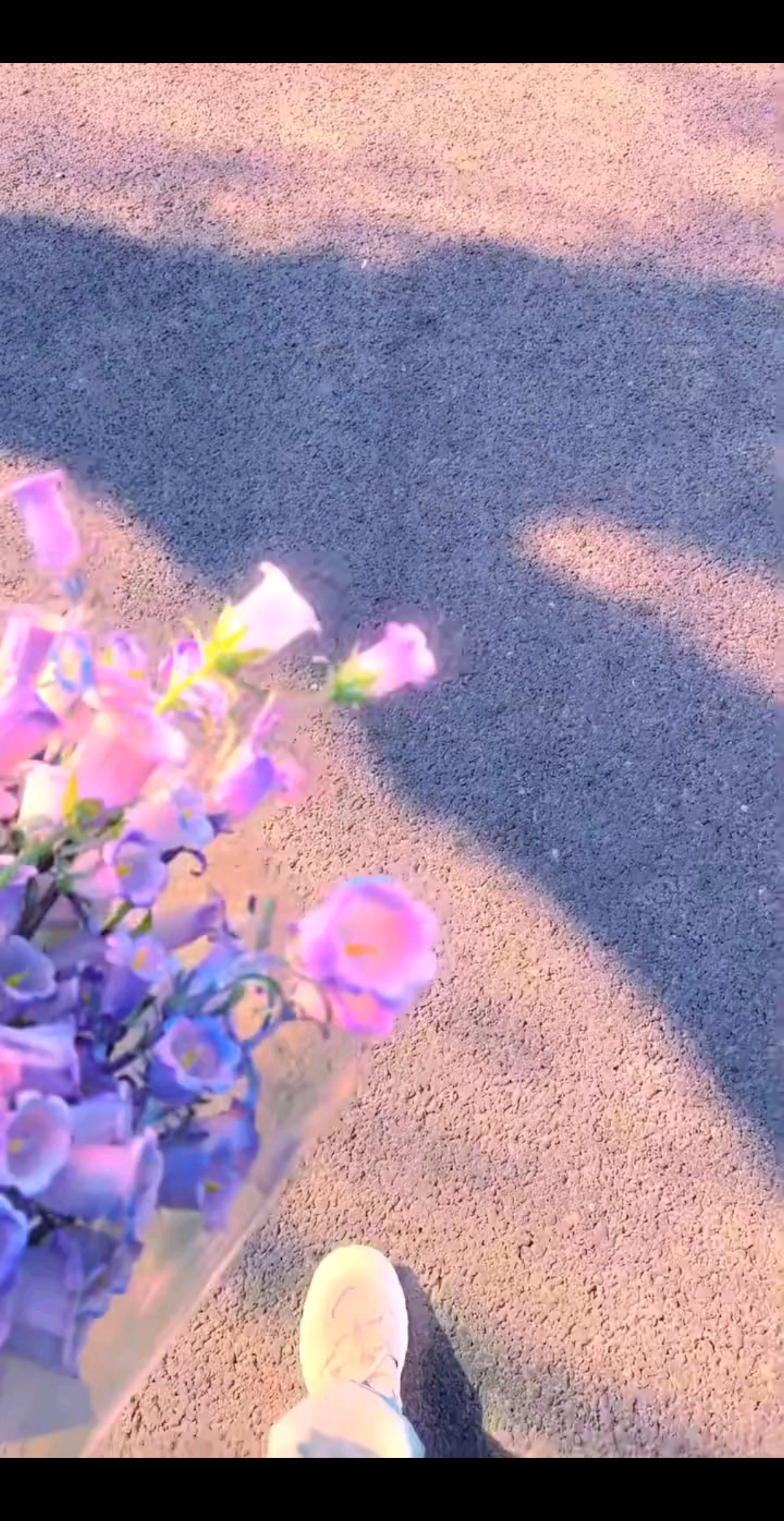 🩷🩷你的毅力和心态，