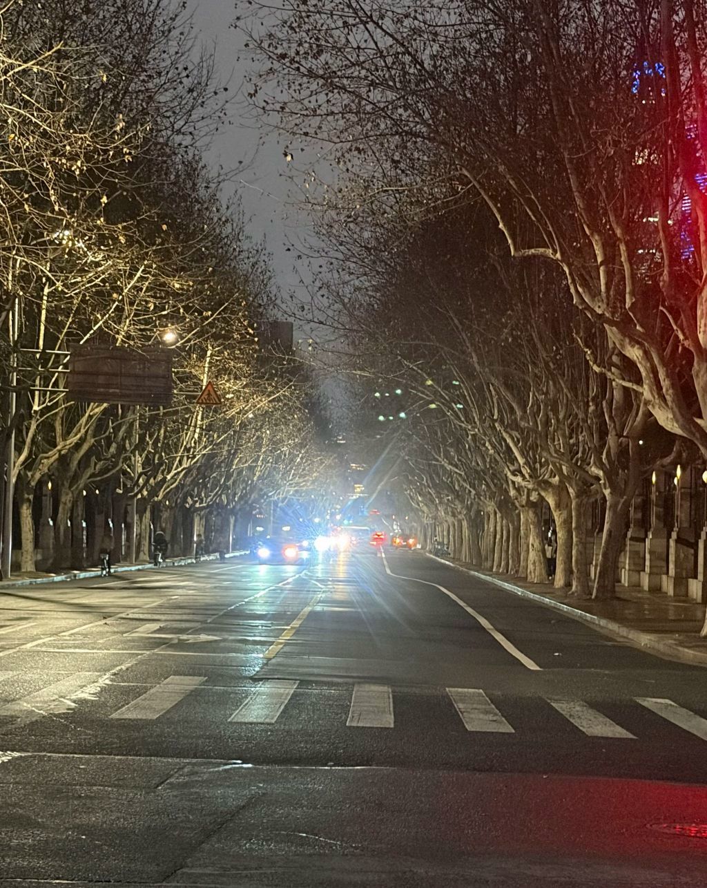 七格格👑军训队长的主播照片