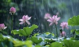 沁馨ღ求百元榜的图片