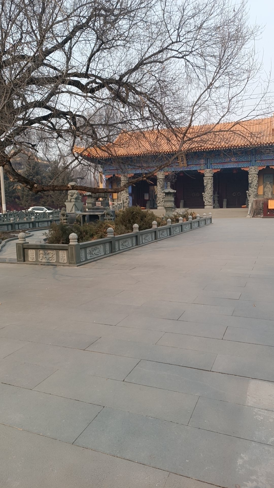 七格格👑军训队长的主播照片