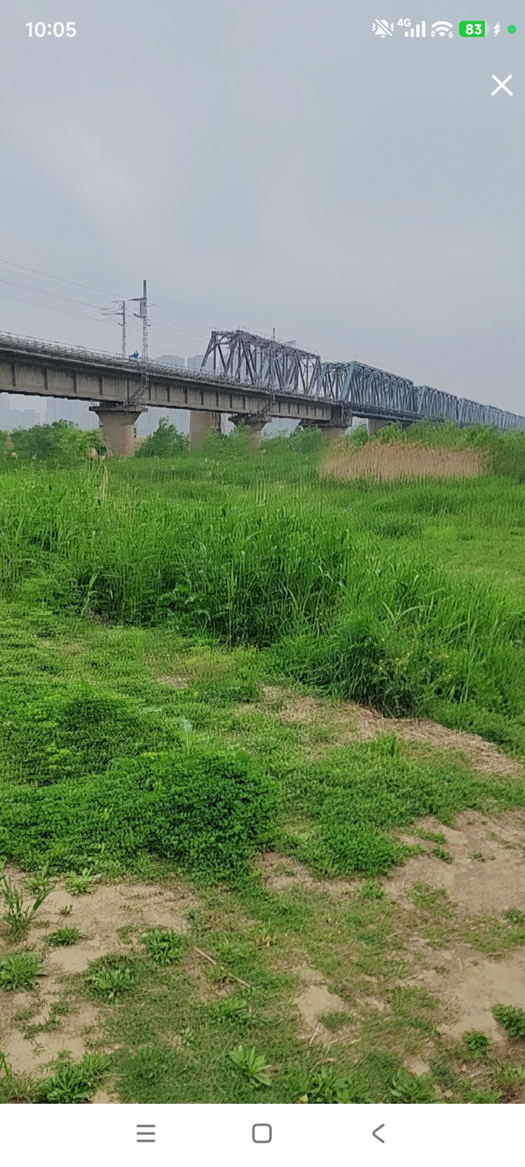 婷求十九架飞机过任务主播图片