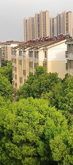 傲世_天下主播照片