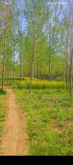 傲世_天下主播照片