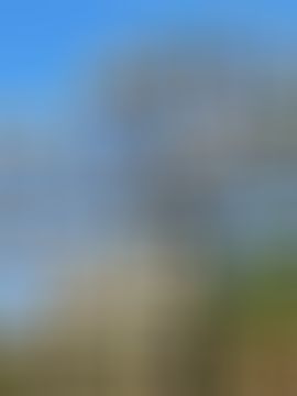 小雨点ღ主播照片