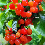 平平淡淡就好：的頭像