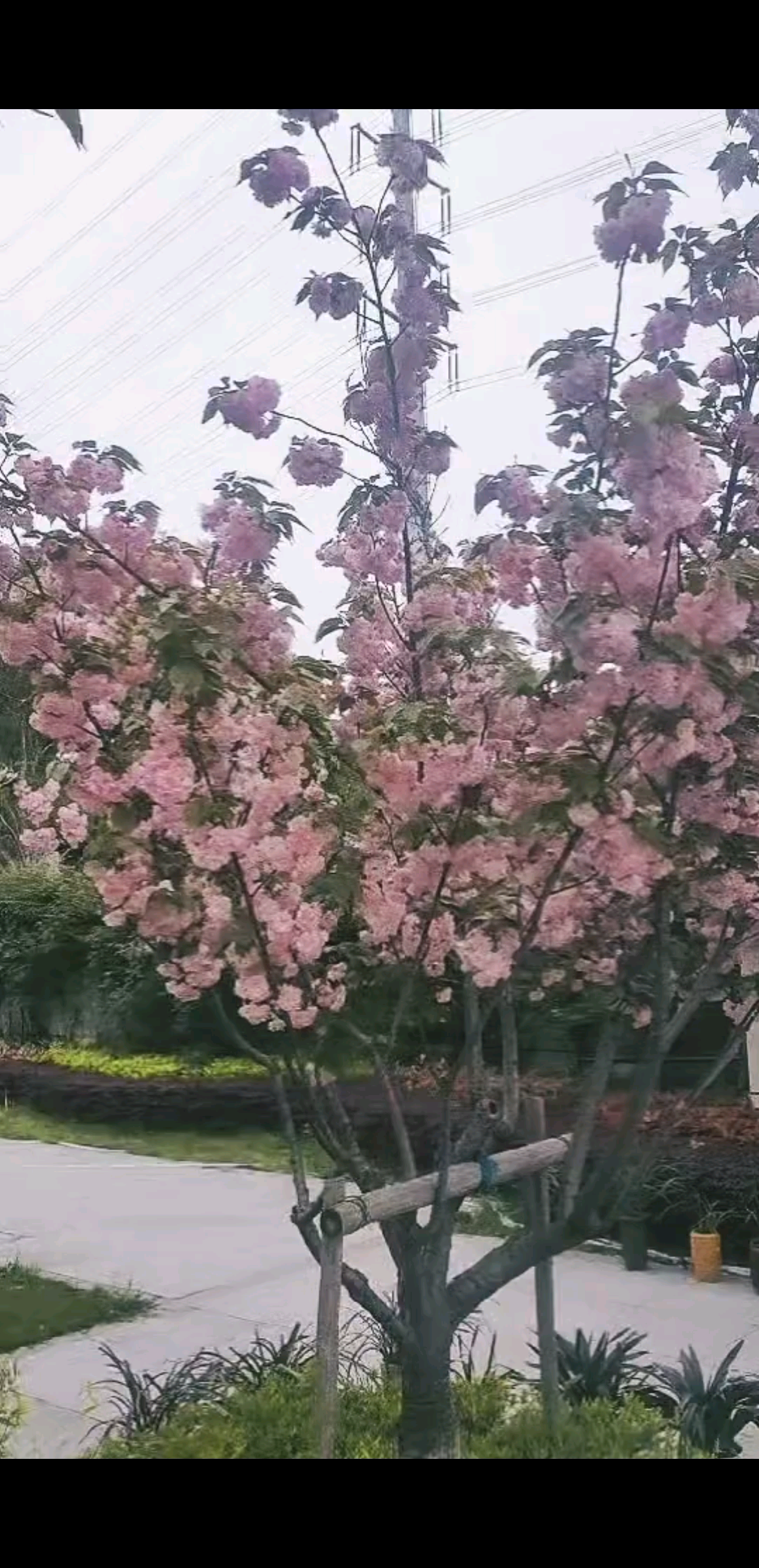 把烦恼丢进春风，跟着