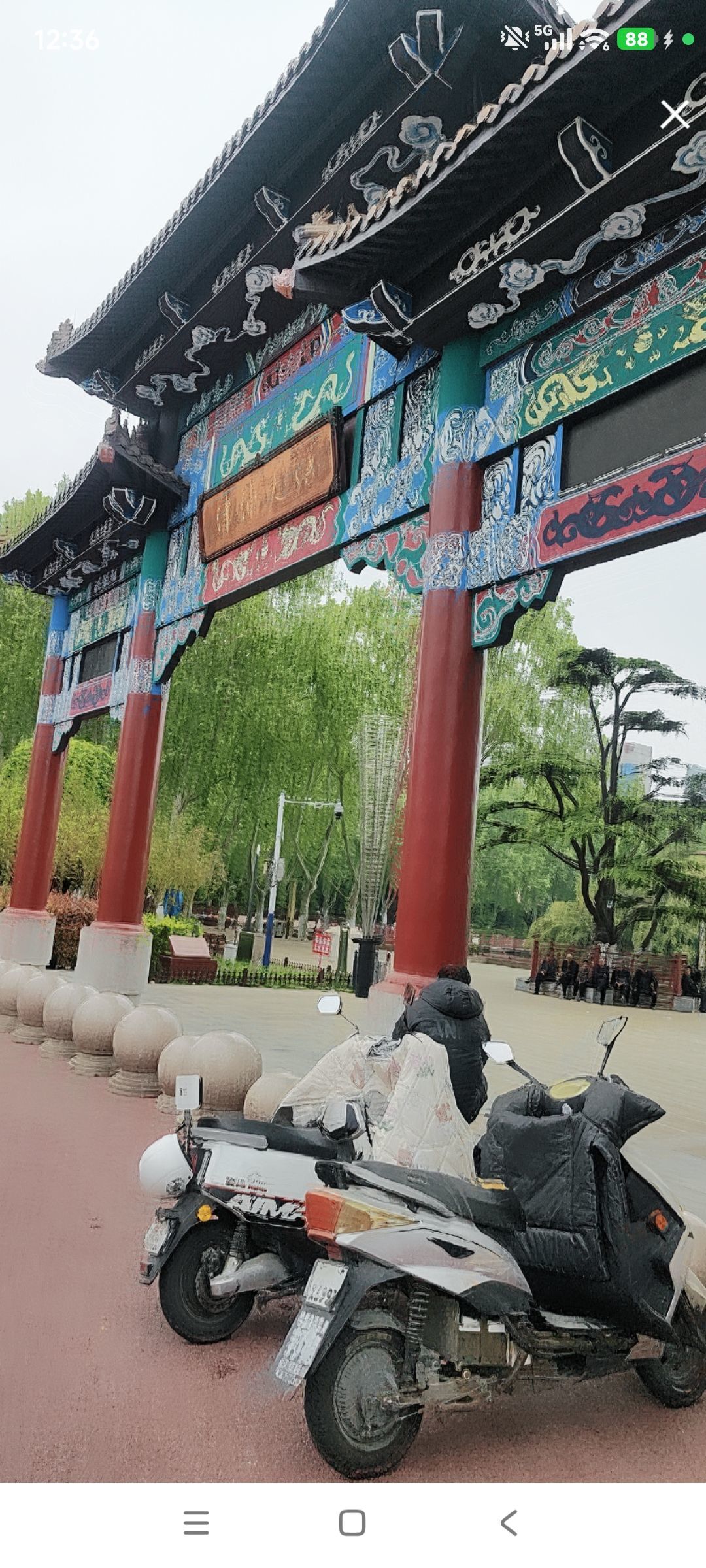 婷求十九架飞机过任务主播图片