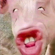 糖豆🍁🍭的头像