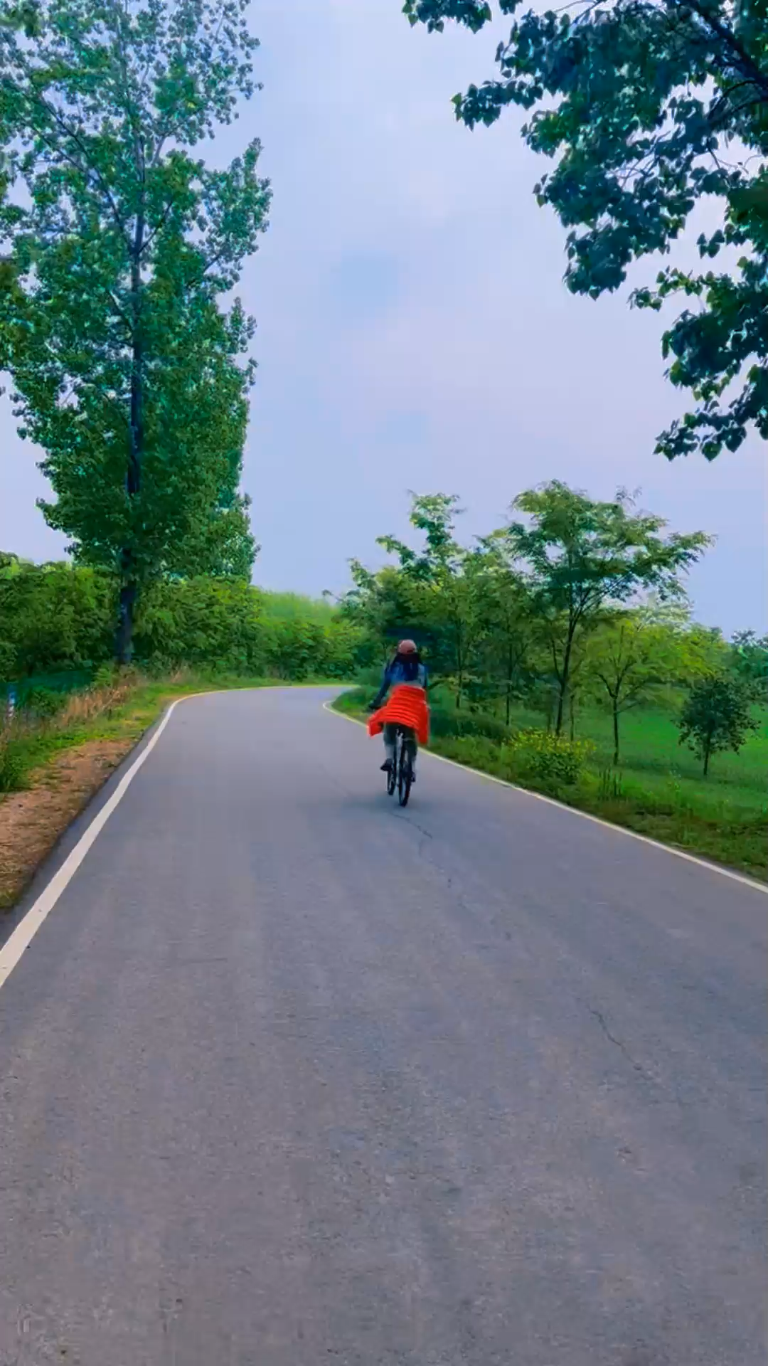 没什么想说的，你们给