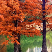 ??回憶總想哭??的頭像